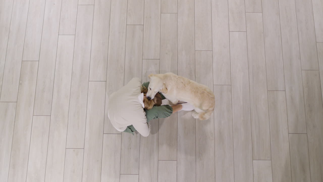 십대 소녀가 즐거운 골든 리트리버 강아지와 함께 놀고 있습니다.