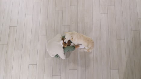 una adolescente jugando con un alegre cachorro de golden retriever, vista de arriba