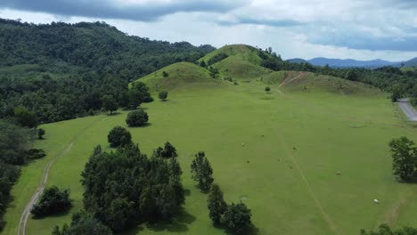 Reveal-of-beautiful-blue-sky-above-the-green-meadow-and-cow-grazing-below,-Thailand