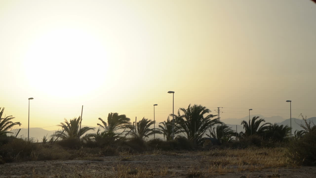 Woman in dress walking at sunset