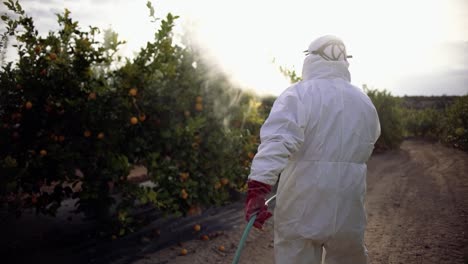 granjero rocíe insecticida, pesticida, pesticidas o insecticidas rociando en limoneros campo agrícola en españa