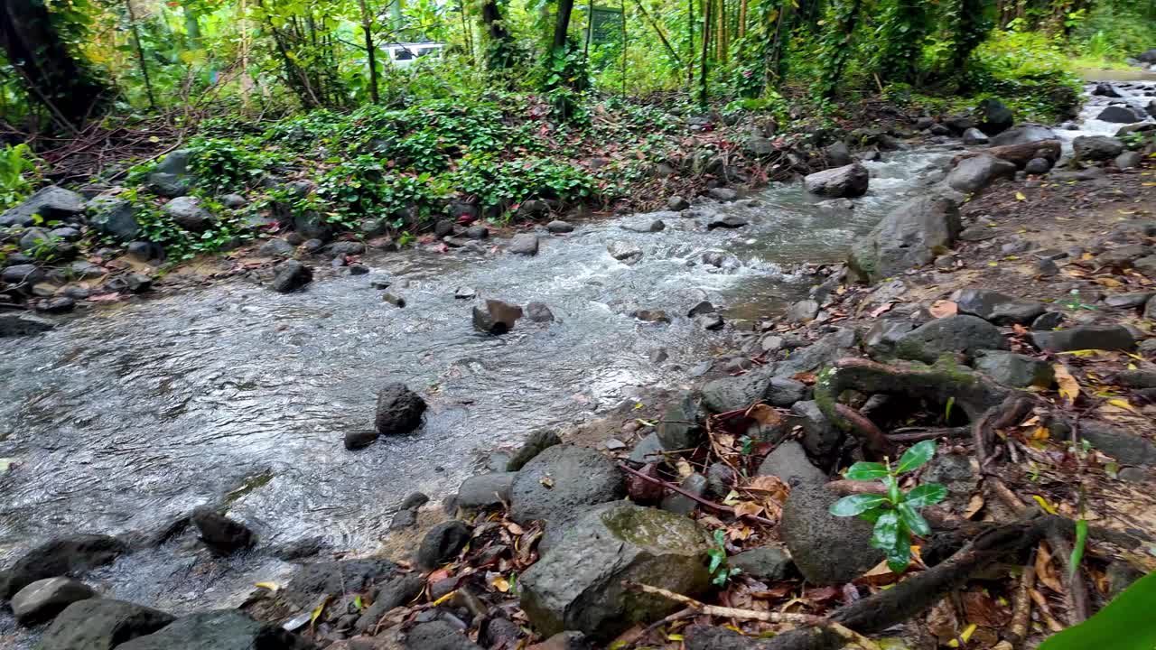 Manoaa fresh water stream from the kauai napali mountain near Haena Beach Park, on the North Shore of Kauai, Hawaii.