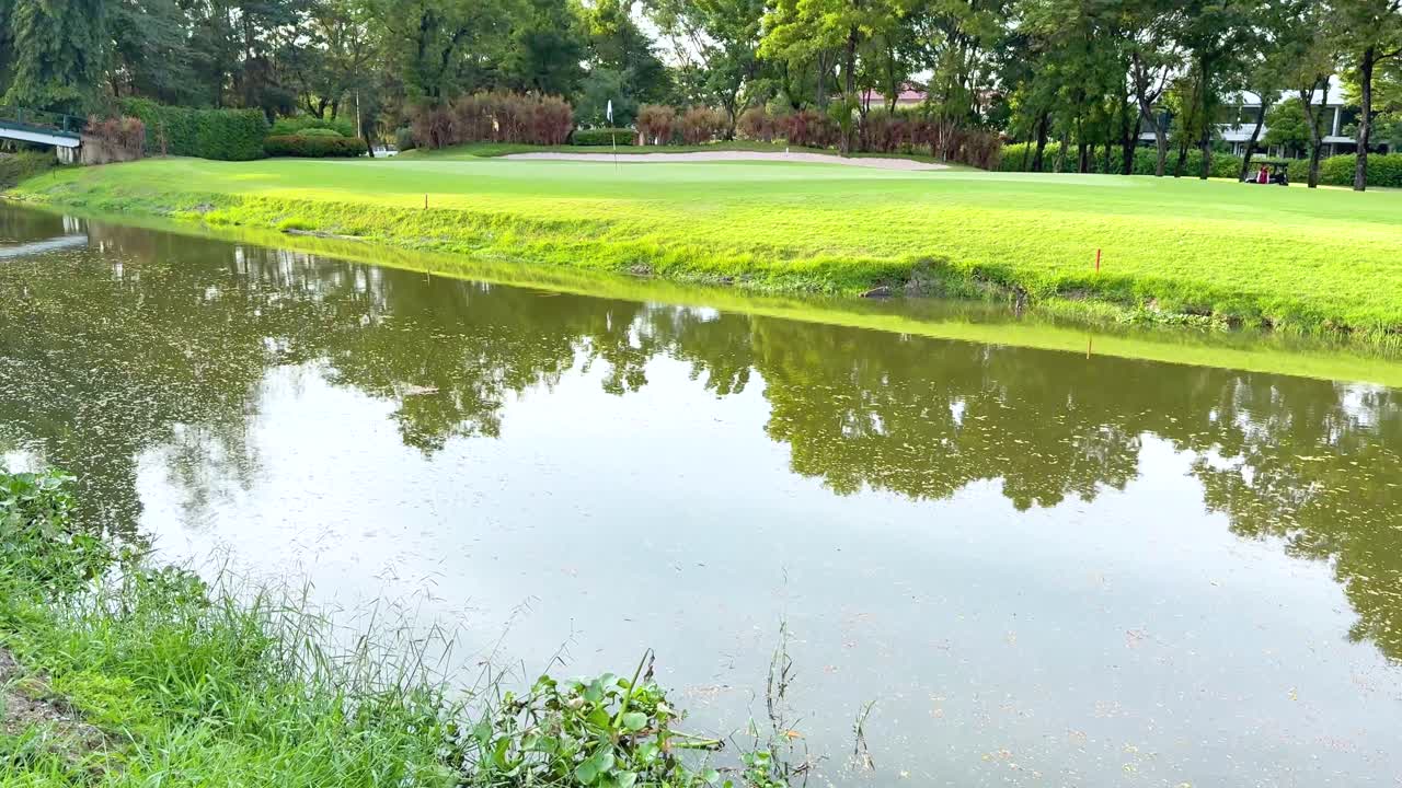 울창한 초록색과 물이 있는 평화로운 골프장