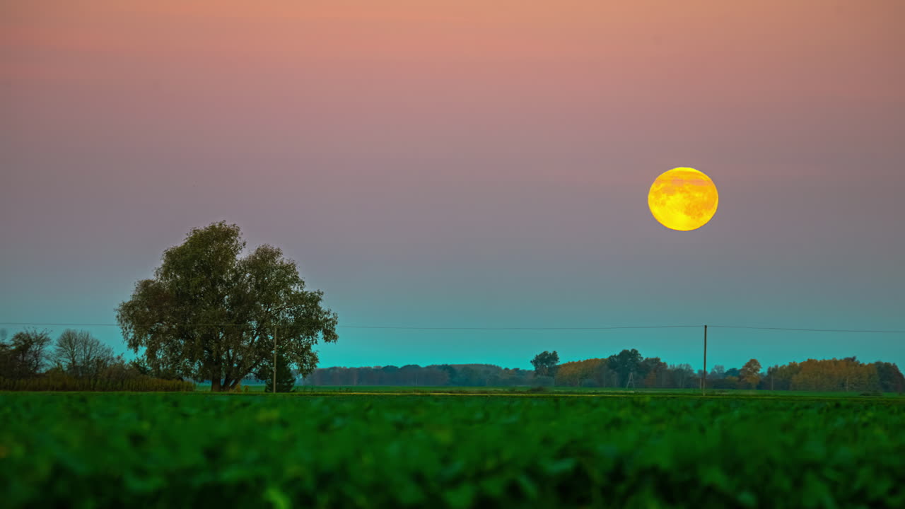 A vivid full moon ascends above a green field and scattered trees during twilight. Europe