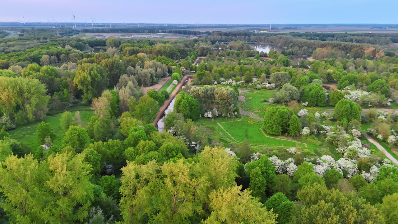 Green fields in the Netherlands. Vibrant trees and diverse foliage create a scenic view of nature in the Netherlands during daylight hours