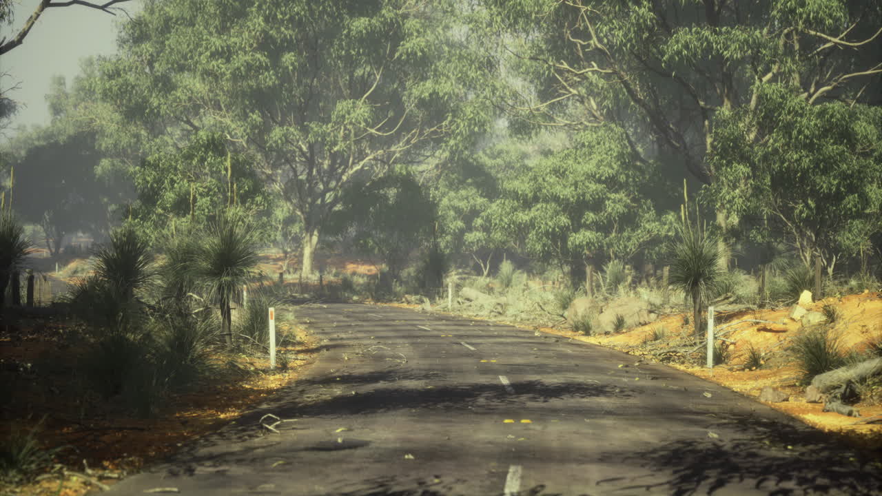 Hot afternoon on a winding road surrounded by lush greenery