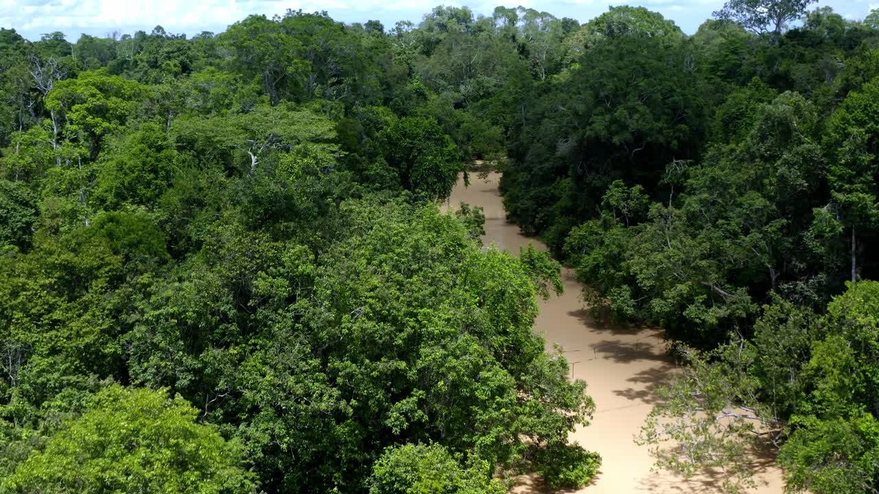 una lancha de motor azul navegando a lo largo del río kinabatangan en malasia, vista aérea