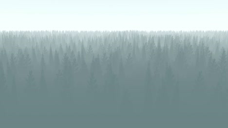 animation of a forest with fog