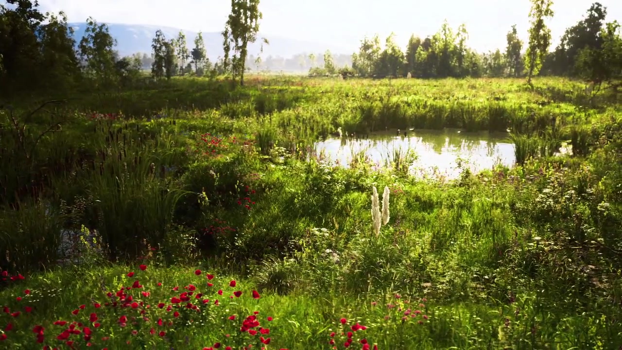 Serene natural setting with sunrise illuminating vibrant floral display