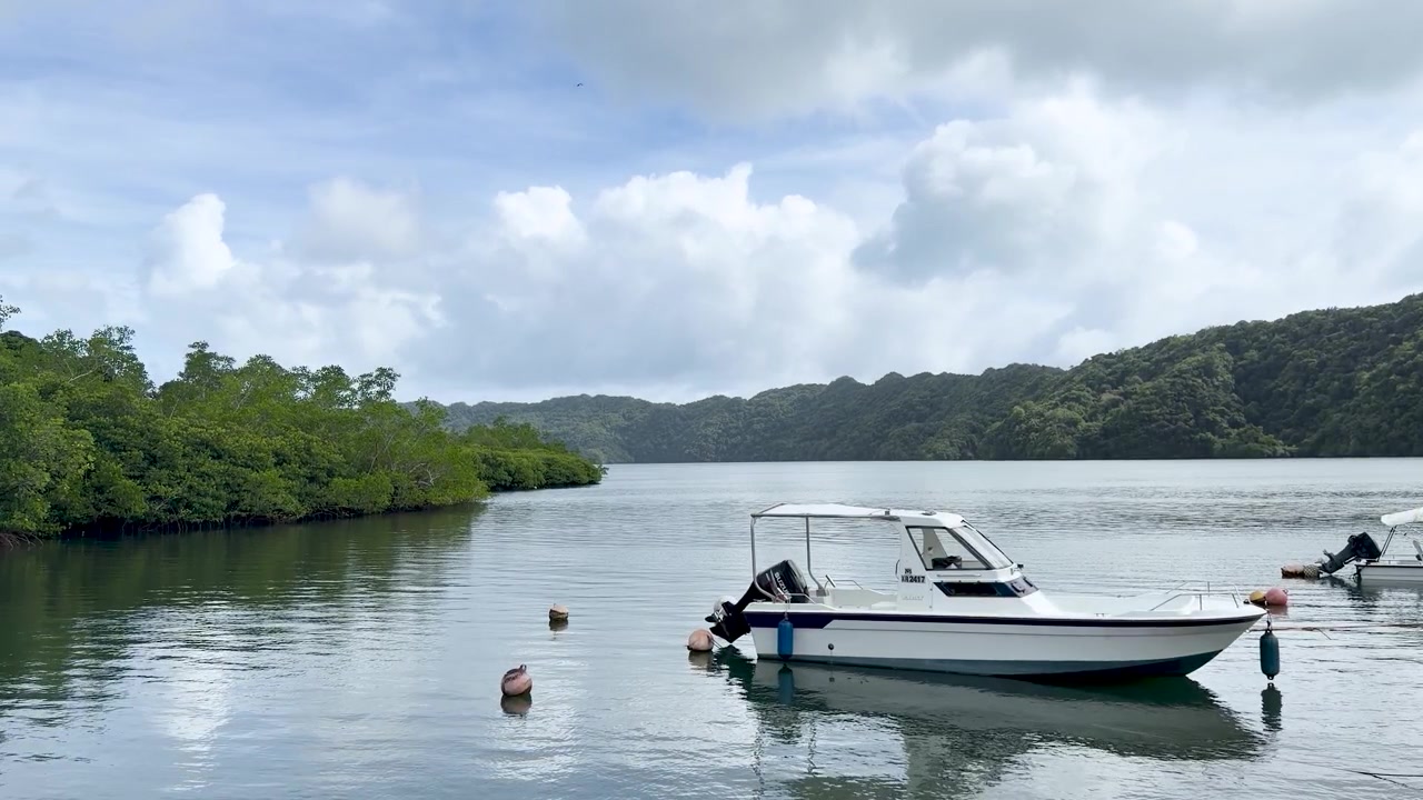 Un motoscafo bianco galleggia su acqua calma vicino a lussureggianti foreste di mangrovie sotto un cielo nuvoloso