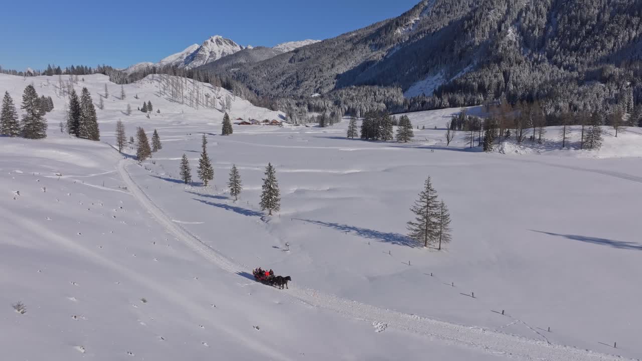 Vista aerea di cavalli che trainano una slitta nella bianca campagna austriaca.