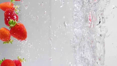 slow motion shot of fresh, delicious strawberries falling into an aquarium filled with water