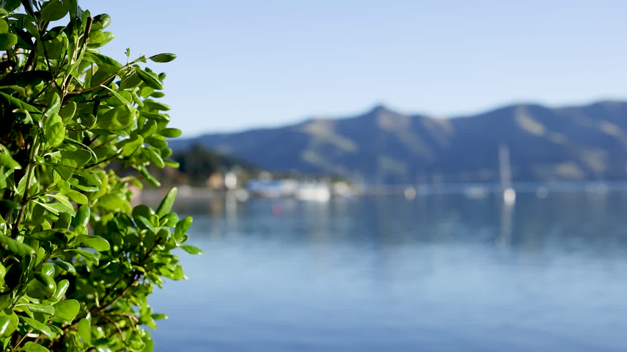 A tranquil lakeside scene in Akaroa, New Zealand, featuring vibrant green foliage and distant mountains under clear daylight