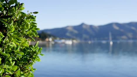 a tranquil lakeside scene in akaroa, new zealand, featuring vibrant green foliage and distant mountains under clear daylight