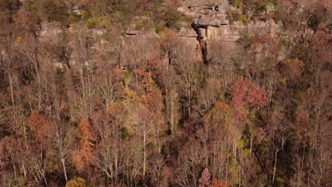 Aerial-crane-shot