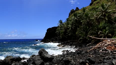 Paisaje-Pacífico-Con-Costa-Rocosa-Con-Palmeras