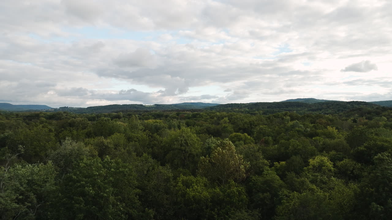 Dense Bushes With Green Leaves Under Cloudy Day Near Durham In Arkansas, United States
