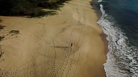 hawaii - corriendo en la playa y siguiéndome con drone 5