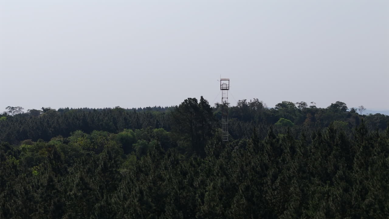 Fire lookout tower rises above forest canopy in Misiones, Argentina
