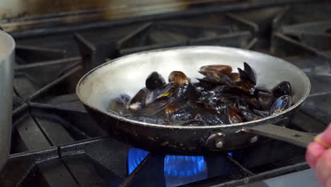 el chef hace girar mejillones en una sartén sobre la llama de la estufa, cocina una orden de mejillones en la cocina del restaurante, hd en cámara lenta