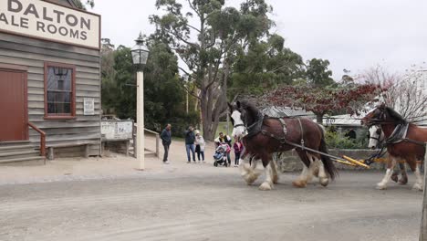 horse-drawn carriage passing through historic town street