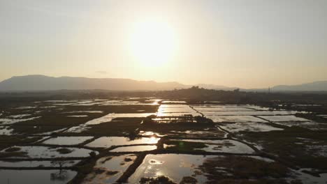 drone dolly forward drone shot over waterlogged indian rice paddy - fish farming fields sunset