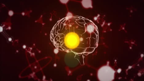 cerebro brillante con conexiones neuronales animación sobre estructuras moleculares de fondo rojo