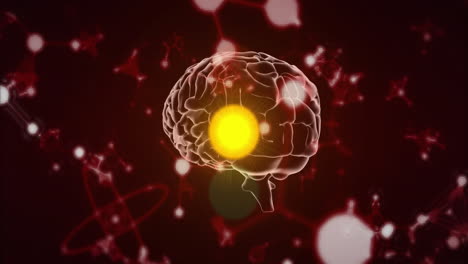 glowing brain with neural connections animation over red molecular structures background