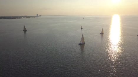 A-EGATTA-OF-SAILBOATS-IN-NEW-ORLEANS