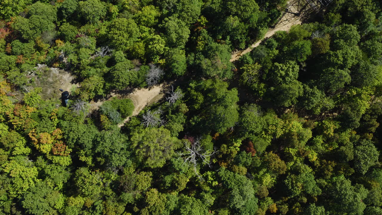 Aerial overhead tracking across dense green forest canopy, Devils Knob Lookout Arkansas