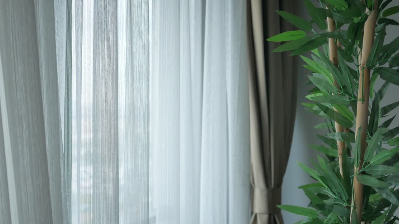 은 커튼과 대나무 식물이 있는 창문