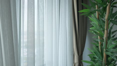 ventana con cortinas transparentes y planta de bambú