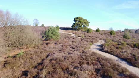 Slow-drone-shot-of-path-through-nature