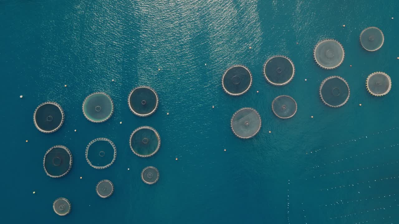 Offshore marine aquaculture cages for sea bass. Aerial top-down view