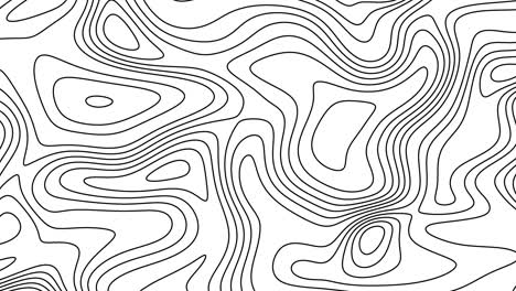 diseño topográfico abstracto
