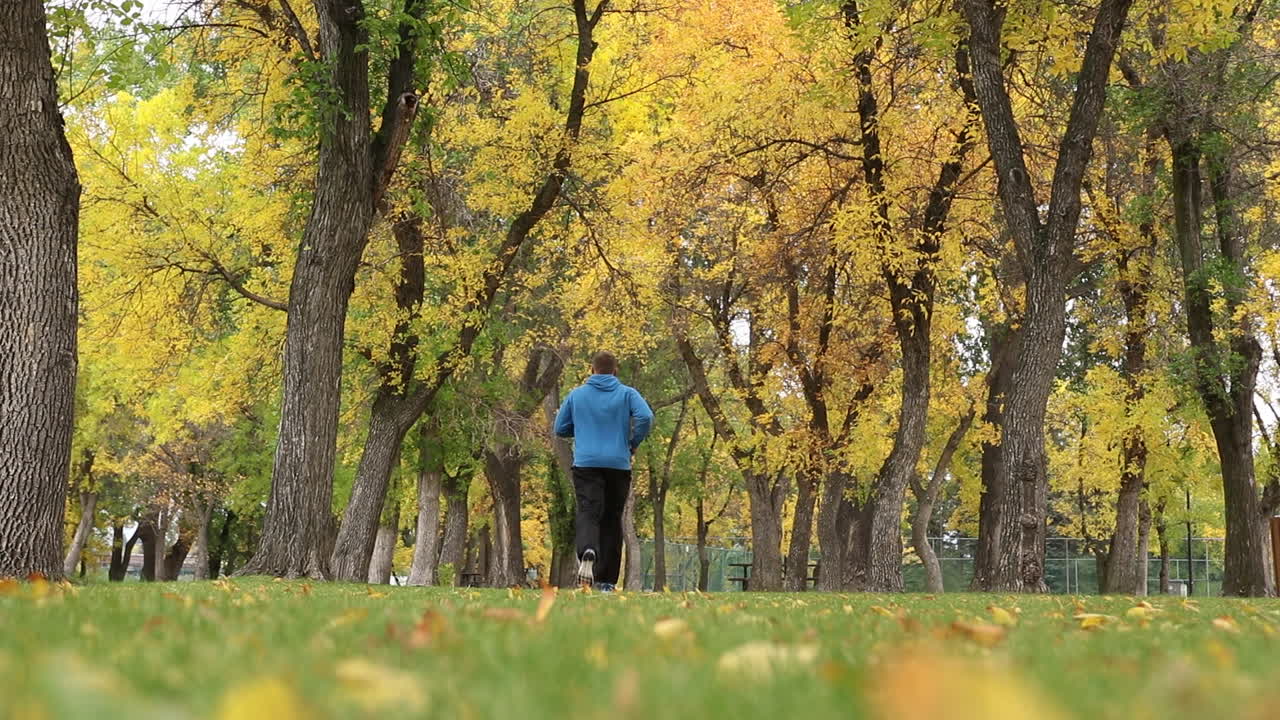 파란색 스웨트셔츠와 검은색 스웨트팬츠를 입은 젊은 백인 성인 남성은 화창한 날 나무가 늘어선 푸른 잔디 길에서 조깅하는 장면에 들어갑니다.
