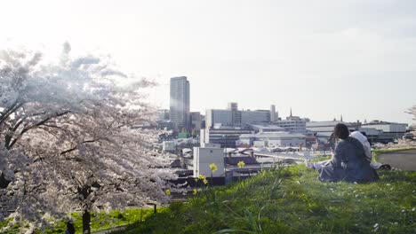 People-sitting-at-Park-Hill-Ampitheatre-admiring-the-Sheffield-City-Sky-Line-view-during-Cherry-Blossom-Season-Spring-Summer-enjoying-the-warm-weather