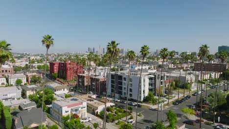 flying over a palm tree-lined los angeles street on a sunny day, drone shot overlooking rooftops with los angeles skyline on horizon