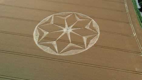 tichborne misterioso terreno de cultivo dorado patrón geométrico de flores círculo de cultivo aéreo hacia adelante sobrevuelo