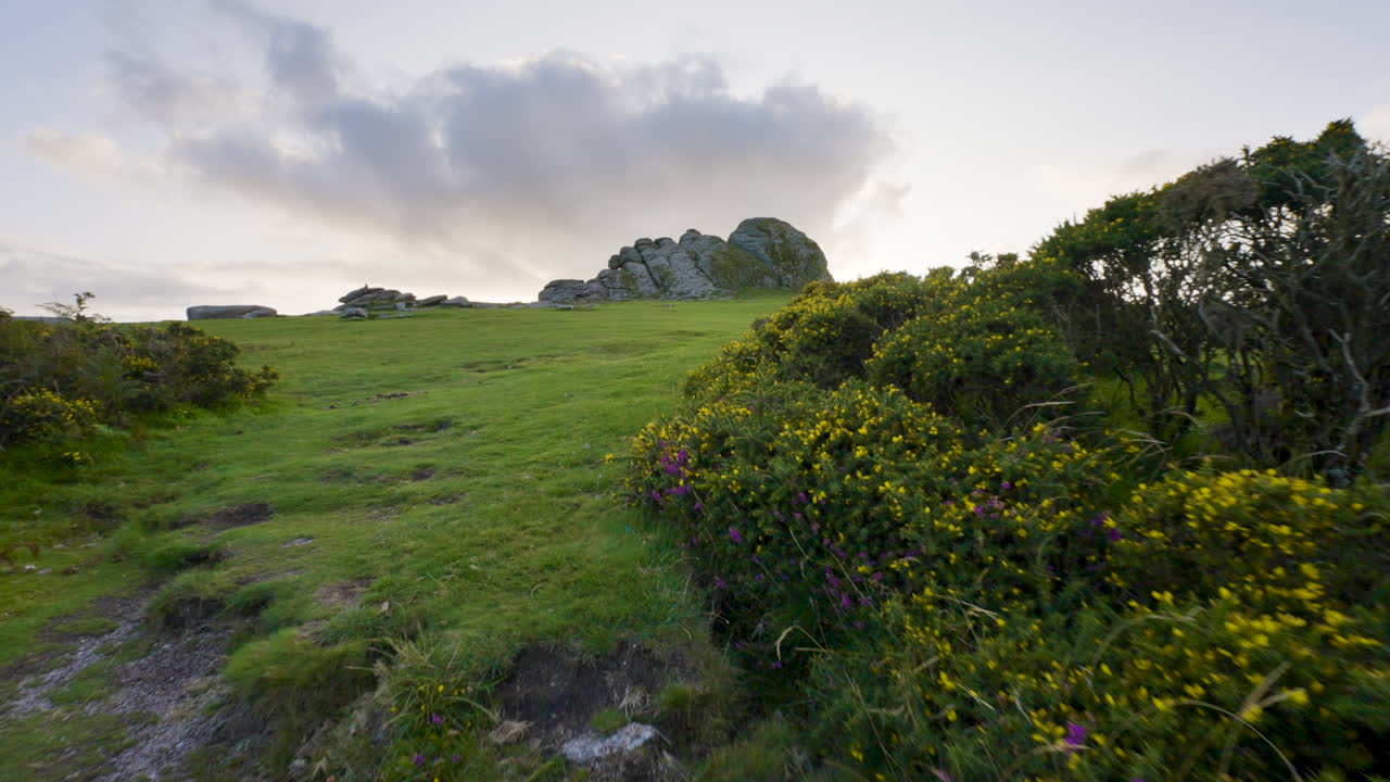 Scenic Hillside Landscape with Rocks and Flowers