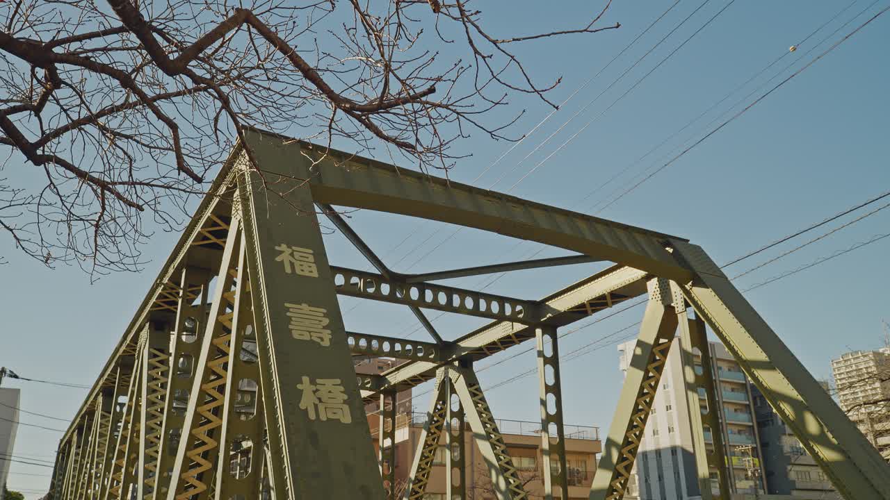 Fukuju Bridge's yellow-green steel truss rises beneath bare winter tree branches against a pale blue sky in Tokyo, with Japanese nameplate visible, captured as a static low-angle upward shot