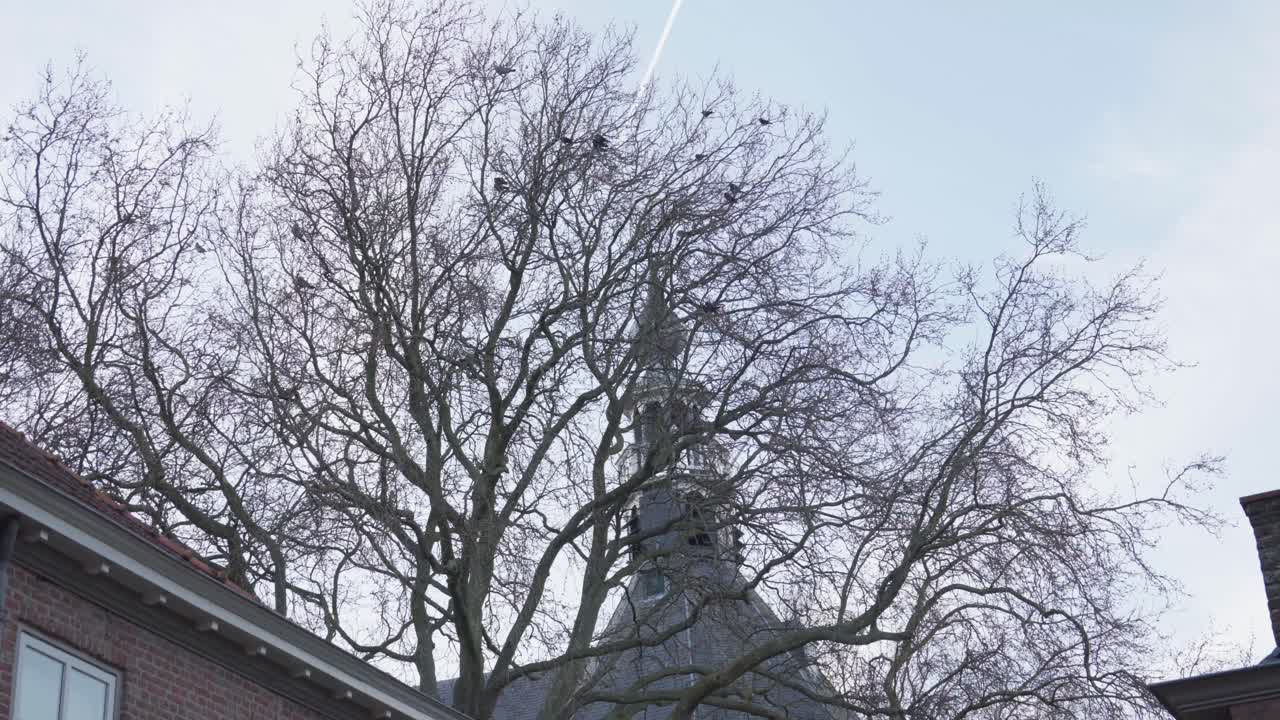 Church of Our Lady of the Assumption of IJzendijke, religious building
