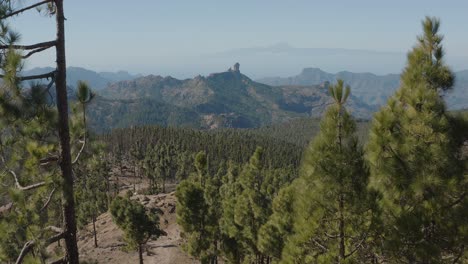 hermosa toma de drones de un panorama montañoso con bosque desde el pico de las nieves hasta el roque nublo, gran canaria