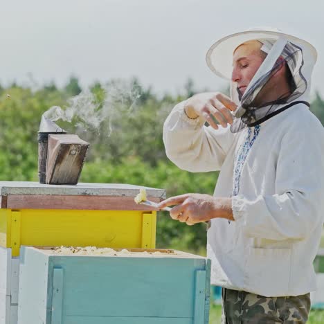 beekeeper working collect honey