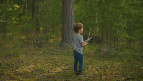 a boy collects and wears sticks for a campfire during a hike. forest caster for cooking and frying marshmallows