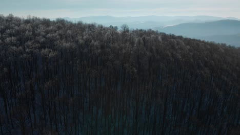 Los-Drones-Se-Elevan-Sobre-Los-árboles-Con-Ramas-Congeladas-En-El-Soleado-Día-De-Invierno-5