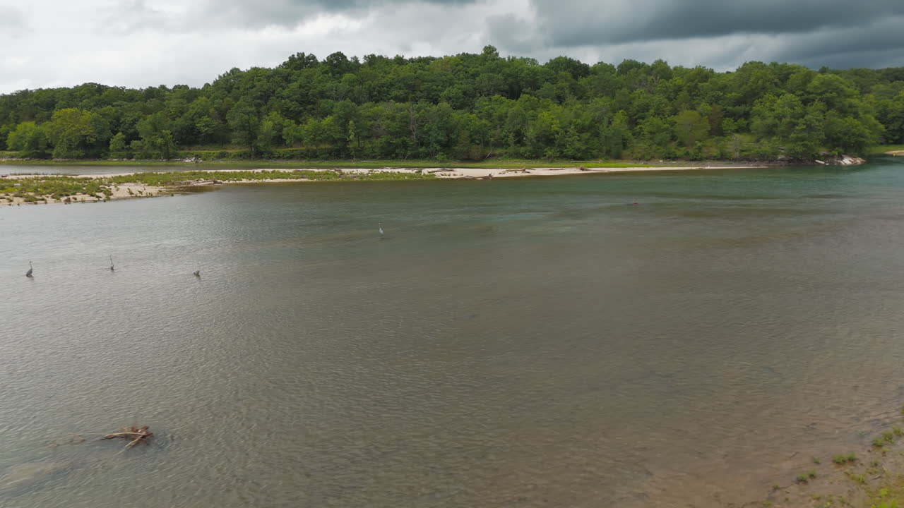 Ampla tomada de drone estabelecendo uma costa calma com um grupo de aves aquáticas em águas rasas, declives verdes suaves encontrando a água escura e reflexiva do lago, Tagg Flats, Lago Eucha, Oklahoma, EUA