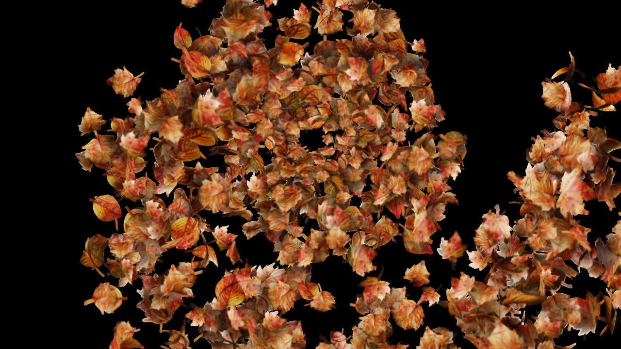 Autumn Leaves Transition or Reveal Element with Alpha Channel