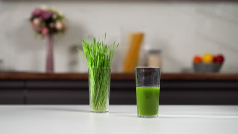 a fresh glass of wheatgrass juice on a kitchen counter with a vase of wheatgrass in the background