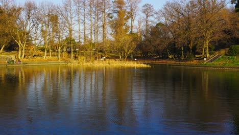 the beautiful park in osaka